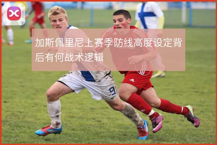加斯佩里尼上赛季防线高度设定背后有何战术逻辑